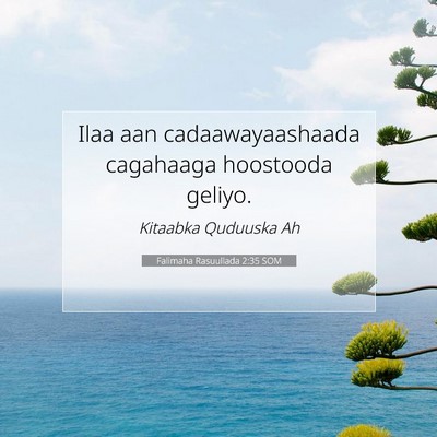 Picture 07 - Falimaha Rasuullada 2:35 SOM - Ilaa aan cadaawayaashaada cagahaaga hoostooda - Bible Verse Picture