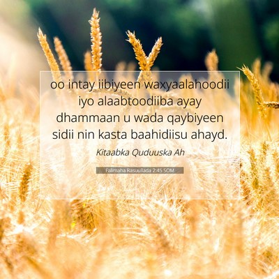 Picture 07 - Falimaha Rasuullada 2:45 SOM - oo intay iibiyeen waxyaalahoodii iyo - Bible Verse Picture