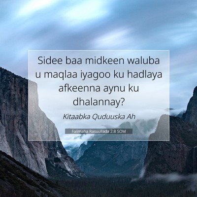 Picture 07 - Falimaha Rasuullada 2:8 SOM - Sidee baa midkeen waluba u maqlaa iyagoo ku - Bible Verse Picture