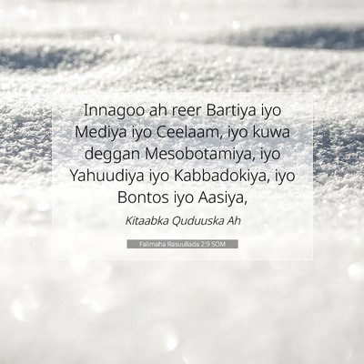 Picture 07 - Falimaha Rasuullada 2:9 SOM - Innagoo ah reer Bartiya iyo Mediya iyo Ceelaam, - Bible Verse Picture