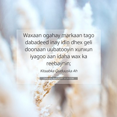 Picture 07 - Falimaha Rasuullada 20:29 SOM - Waxaan ogahay markaan tago dabadeed inay idin - Bible Verse Picture