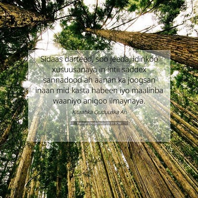 Picture 07 - Falimaha Rasuullada 20:31 SOM - Sidaas darteed, soo jeeda, idinkoo xusuusanaya in - Bible Verse Picture