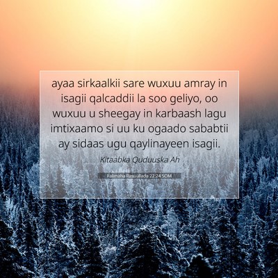Picture 07 - Falimaha Rasuullada 22:24 SOM - ayaa sirkaalkii sare wuxuu amray in isagii - Bible Verse Picture