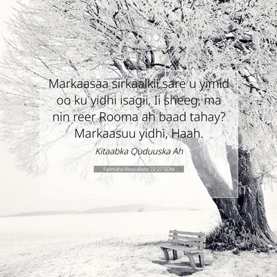 Picture 07 - Falimaha Rasuullada 22:27 SOM - Markaasaa sirkaalkii sare u yimid oo ku yidhi - Bible Verse Picture