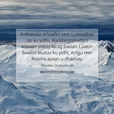 Picture 07 - Falimaha Rasuullada 22:28 SOM - Kolkaasaa sirkaalkii sare u jawaabay oo ku yidhi, - Bible Verse Picture