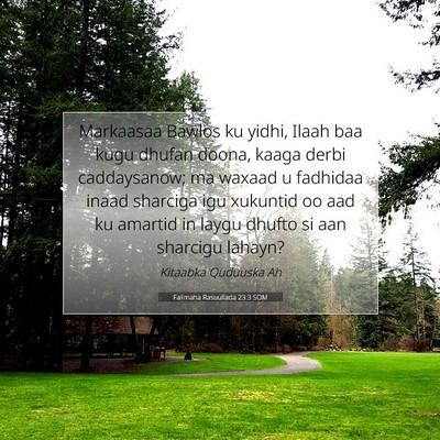 Picture 07 - Falimaha Rasuullada 23:3 SOM - Markaasaa Bawlos ku yidhi, Ilaah baa kugu dhufan - Bible Verse Picture