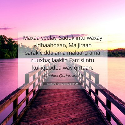 Picture 07 - Falimaha Rasuullada 23:8 SOM - Maxaa yeelay, Sadukiintu waxay yidhaahdaan, Ma - Bible Verse Picture