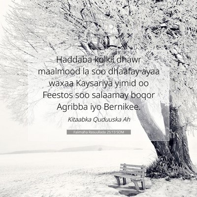 Picture 07 - Falimaha Rasuullada 25:13 SOM - Haddaba kolkii dhawr maalmood la soo dhaafay ayaa - Bible Verse Picture