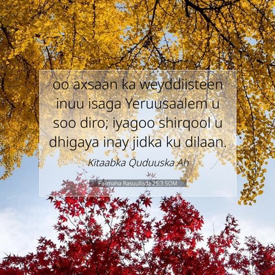 Picture 07 - Falimaha Rasuullada 25:3 SOM - oo axsaan ka weyddiisteen inuu isaga Yeruusaalem - Bible Verse Picture
