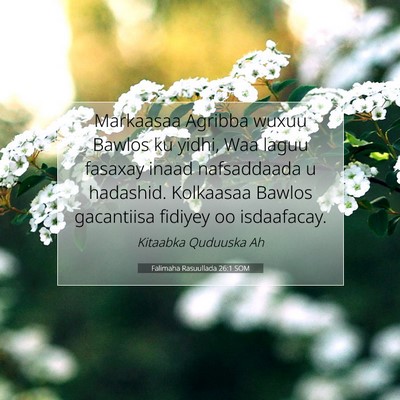 Picture 07 - Falimaha Rasuullada 26:1 SOM - Markaasaa Agribba wuxuu Bawlos ku yidhi, Waa - Bible Verse Picture