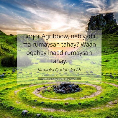 Picture 07 - Falimaha Rasuullada 26:27 SOM - Boqor Agribbow, nebiyadii ma rumaysan tahay? Waan - Bible Verse Picture