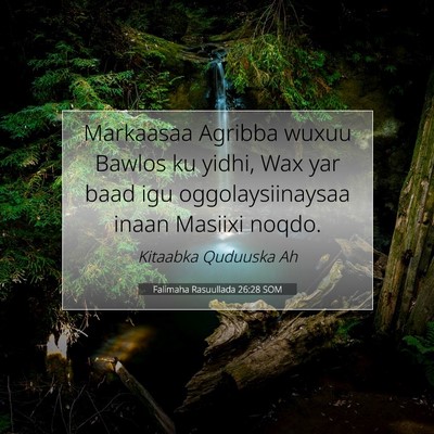 Picture 07 - Falimaha Rasuullada 26:28 SOM - Markaasaa Agribba wuxuu Bawlos ku yidhi, Wax yar - Bible Verse Picture
