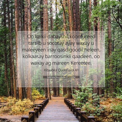 Picture 07 - Falimaha Rasuullada 27:13 SOM - Oo kolkii dabayshii koonfureed tartiib u socotay - Bible Verse Picture