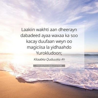 Picture 07 - Falimaha Rasuullada 27:14 SOM - Laakiin wakhti aan dheerayn dabadeed ayaa waxaa - Bible Verse Picture
