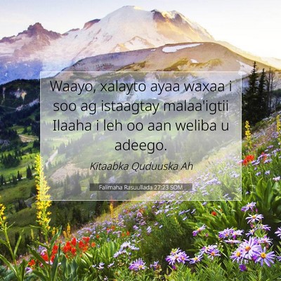 Picture 07 - Falimaha Rasuullada 27:23 SOM - Waayo, xalayto ayaa waxaa i soo ag istaagtay - Bible Verse Picture