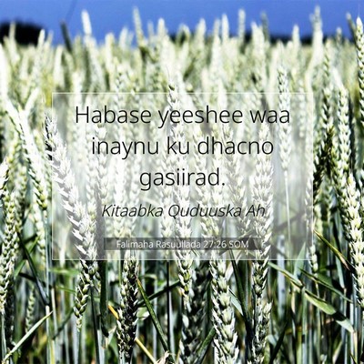 Picture 07 - Falimaha Rasuullada 27:26 SOM - Habase yeeshee waa inaynu ku dhacno - Bible Verse Picture
