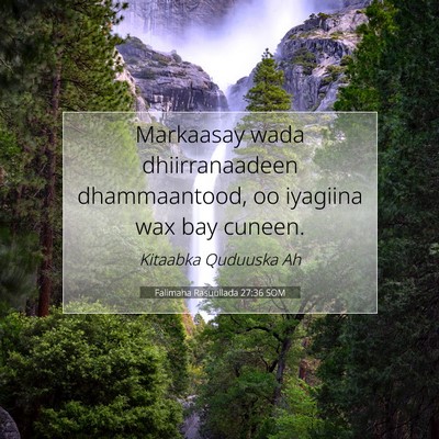 Picture 07 - Falimaha Rasuullada 27:36 SOM - Markaasay wada dhiirranaadeen dhammaantood, oo - Bible Verse Picture