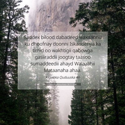 Picture 07 - Falimaha Rasuullada 28:11 SOM - Saddex bilood dabadeed waxaannu ku dhoofnay - Bible Verse Picture