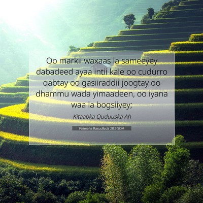 Picture 07 - Falimaha Rasuullada 28:9 SOM - Oo markii waxaas la sameeyey dabadeed ayaa intii - Bible Verse Picture