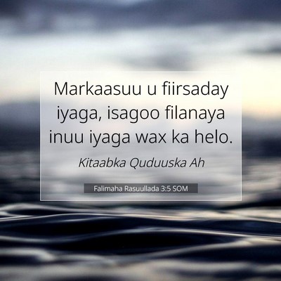 Picture 07 - Falimaha Rasuullada 3:5 SOM - Markaasuu u fiirsaday iyaga, isagoo filanaya inuu - Bible Verse Picture