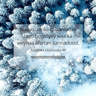 Picture 07 - Falimaha Rasuullada 4:22 SOM - Waayo, ninkii calaamadan lagu bogsiiyey waa ka - Bible Verse Picture