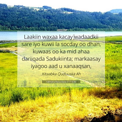 Picture 07 - Falimaha Rasuullada 5:17 SOM - Laakiin waxaa kacay wadaadkii sare iyo kuwii la - Bible Verse Picture