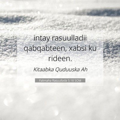 Picture 07 - Falimaha Rasuullada 5:18 SOM - intay rasuulladii qabqabteen, xabsi ku - Bible Verse Picture