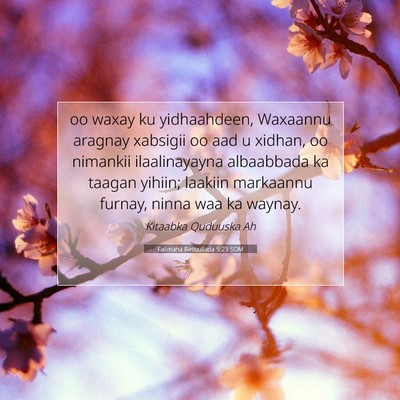 Picture 07 - Falimaha Rasuullada 5:23 SOM - oo waxay ku yidhaahdeen, Waxaannu aragnay - Bible Verse Picture
