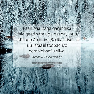 Picture 07 - Falimaha Rasuullada 5:31 SOM - Ilaah baa isaga gacantiisa midigeed sare ugu - Bible Verse Picture