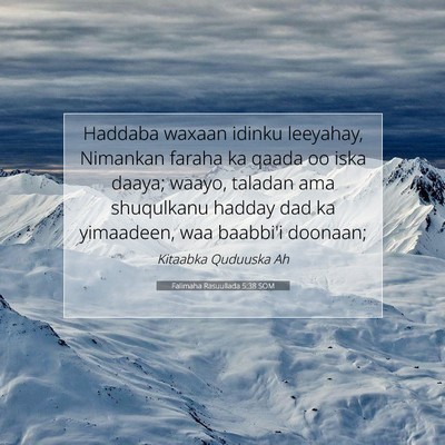 Picture 07 - Falimaha Rasuullada 5:38 SOM - Haddaba waxaan idinku leeyahay, Nimankan faraha - Bible Verse Picture