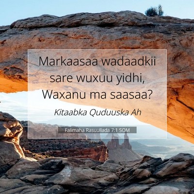 Picture 07 - Falimaha Rasuullada 7:1 SOM - Markaasaa wadaadkii sare wuxuu yidhi, Waxanu ma - Bible Verse Picture