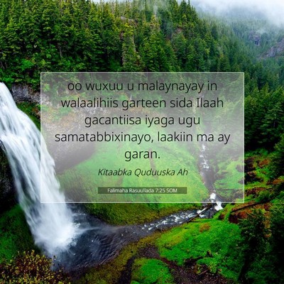 Picture 07 - Falimaha Rasuullada 7:25 SOM - oo wuxuu u malaynayay in walaalihiis garteen sida - Bible Verse Picture
