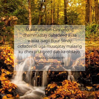 Picture 07 - Falimaha Rasuullada 7:30 SOM - Markii afartan sannadood dhammaatay dabadeed ayaa - Bible Verse Picture