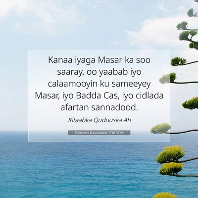 Picture 07 - Falimaha Rasuullada 7:36 SOM - Kanaa iyaga Masar ka soo saaray, oo yaabab iyo - Bible Verse Picture