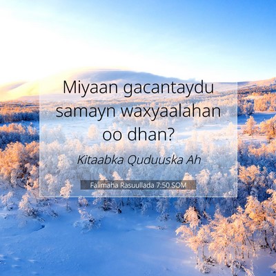 Picture 07 - Falimaha Rasuullada 7:50 SOM - Miyaan gacantaydu samayn waxyaalahan oo - Bible Verse Picture