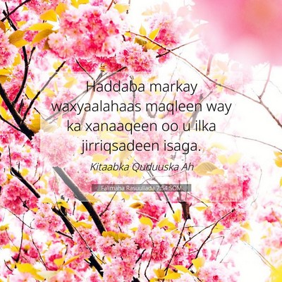 Picture 07 - Falimaha Rasuullada 7:54 SOM - Haddaba markay waxyaalahaas maqleen way ka - Bible Verse Picture