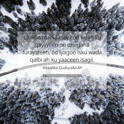 Picture 07 - Falimaha Rasuullada 7:57 SOM - Laakiin markaasay cod weyn ku qayliyeen oo - Bible Verse Picture