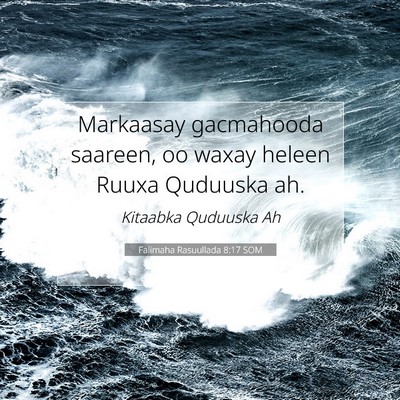 Picture 07 - Falimaha Rasuullada 8:17 SOM - Markaasay gacmahooda saareen, oo waxay heleen - Bible Verse Picture