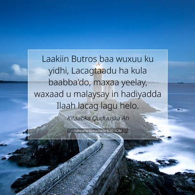 Picture 07 - Falimaha Rasuullada 8:20 SOM - Laakiin Butros baa wuxuu ku yidhi, Lacagtaadu ha - Bible Verse Picture