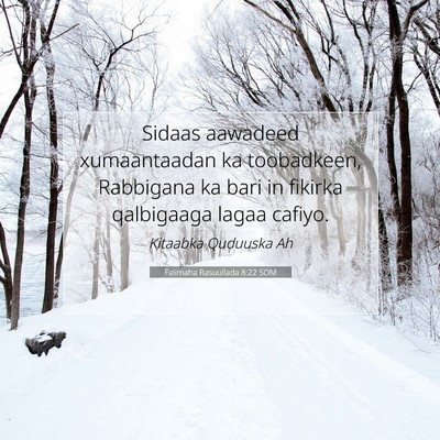 Picture 07 - Falimaha Rasuullada 8:22 SOM - Sidaas aawadeed xumaantaadan ka toobadkeen, - Bible Verse Picture