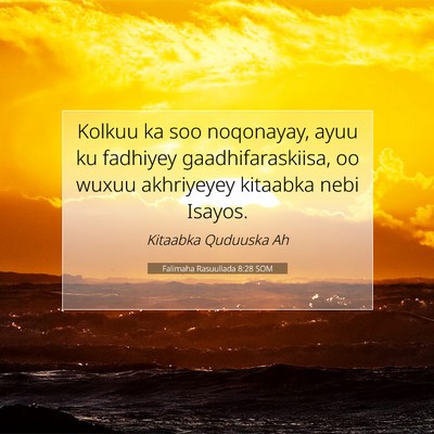 Picture 07 - Falimaha Rasuullada 8:28 SOM - Kolkuu ka soo noqonayay, ayuu ku fadhiyey - Bible Verse Picture