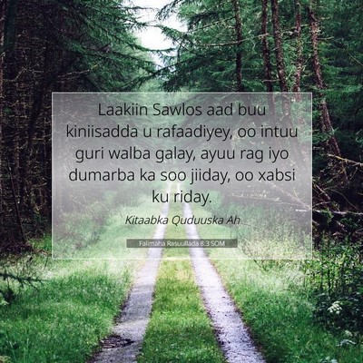 Picture 07 - Falimaha Rasuullada 8:3 SOM - Laakiin Sawlos aad buu kiniisadda u rafaadiyey, - Bible Verse Picture