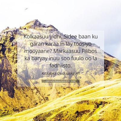 Picture 07 - Falimaha Rasuullada 8:31 SOM - Kolkaasuu yidhi, Sidee baan ku garan karaa in lay - Bible Verse Picture