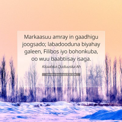 Picture 07 - Falimaha Rasuullada 8:38 SOM - Markaasuu amray in gaadhigu joogsado; labadooduna - Bible Verse Picture