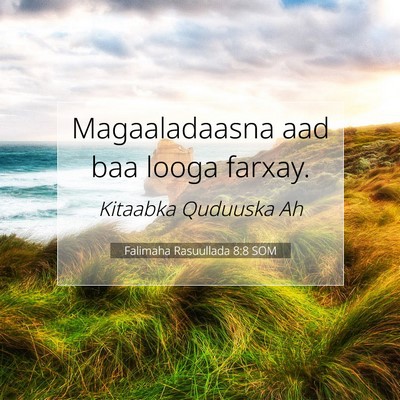 Picture 07 - Falimaha Rasuullada 8:8 SOM - Magaaladaasna aad baa looga - Bible Verse Picture