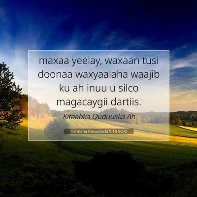 Picture 07 - Falimaha Rasuullada 9:16 SOM - maxaa yeelay, waxaan tusi doonaa waxyaalaha - Bible Verse Picture