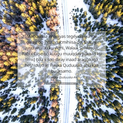 Picture 07 - Falimaha Rasuullada 9:17 SOM - Markaasaa Ananiyas tegey oo gurigii galay, oo - Bible Verse Picture
