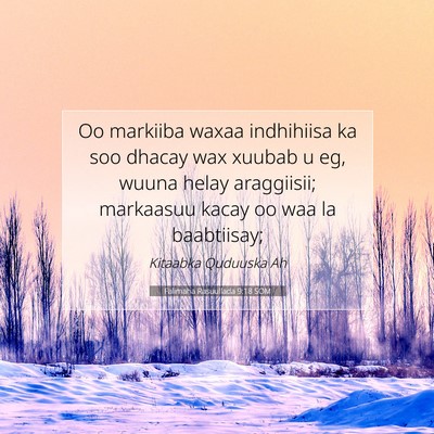 Picture 07 - Falimaha Rasuullada 9:18 SOM - Oo markiiba waxaa indhihiisa ka soo dhacay wax - Bible Verse Picture