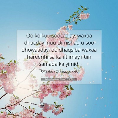 Picture 07 - Falimaha Rasuullada 9:3 SOM - Oo kolkuu sodcaalay, waxaa dhacday inuu Dimishaq - Bible Verse Picture