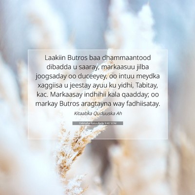 Picture 07 - Falimaha Rasuullada 9:40 SOM - Laakiin Butros baa dhammaantood dibadda u saaray, - Bible Verse Picture